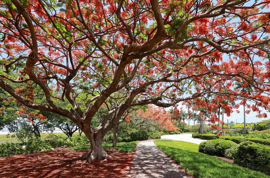 Properties En Venta in Poinciana Park